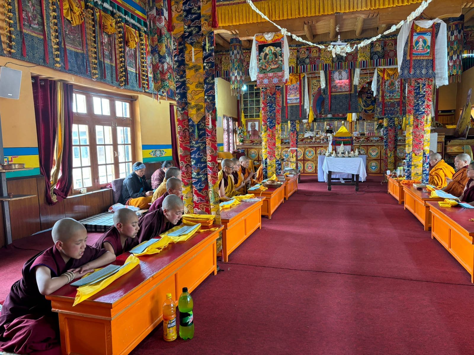 Ladakh Nuns Association: Gebete und Sutra rezitieren